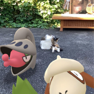 ポケモンGOしましょう‼️ - 牛久市