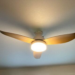 リュード シーリングファンライト 大型3枚羽根 LEDライト内蔵...
