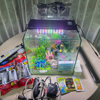 決まりました！水槽セット 30cm 熱帯魚などに GEX グラス...