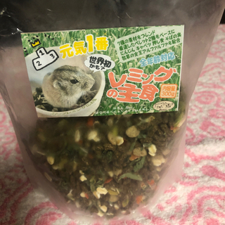 齧歯類好きな方のお友達を募集しています。 - 友達