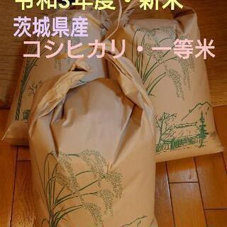 新米・令和３年度・茨城県産コシヒカリ・一等級・値下げ