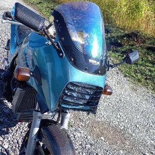 gpz900rライトルーバーの画像