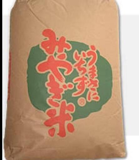 みやぎ米 ひとめぼれ 約13kg