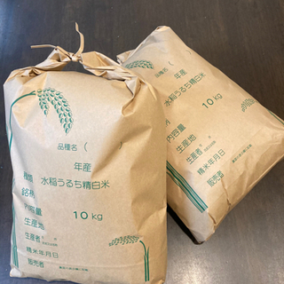 令和6年度　富山県産　新米　コシヒカリの画像