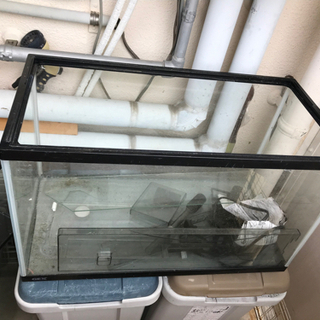 40cm 45cm60cm水槽の画像