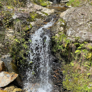 ✨🐉🏞🏞滝行に興味のある方🏞🏞🐉✨ − 愛知県