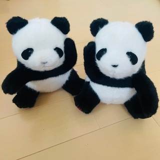 上野動物園　シャンシャンとリンリン