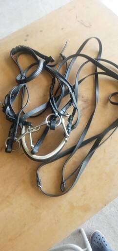 フルサイズの大勒頭絡、黒