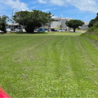 草刈り作業　　※経験者求む、未経験も可の画像