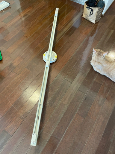 ライティングレール