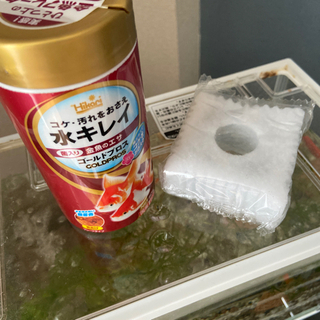金魚2匹の画像