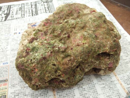 大きめライブロック　3ｋｇ