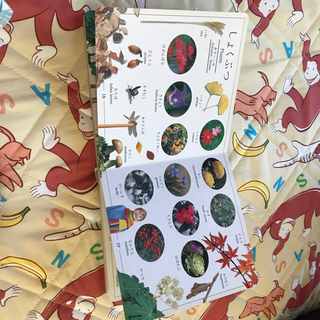 英語ことばずかん〈受け渡し予定者決定〉の画像