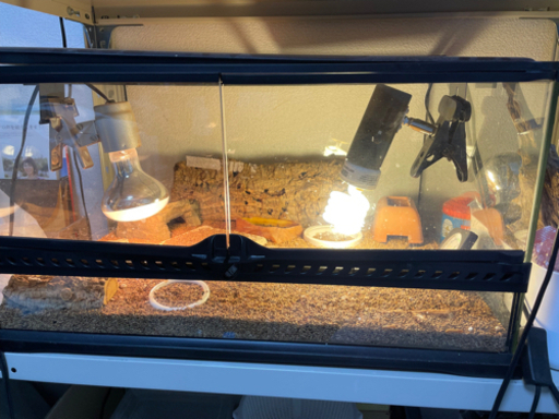 爬虫類用のケージ