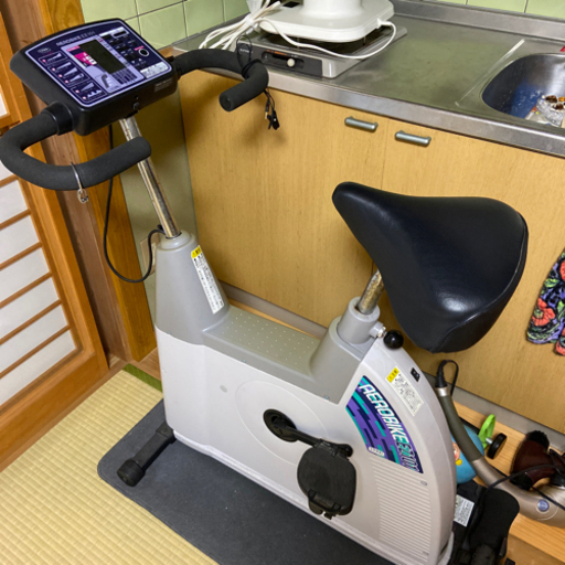 エアロバイク　EZ101  フィットネスバイク