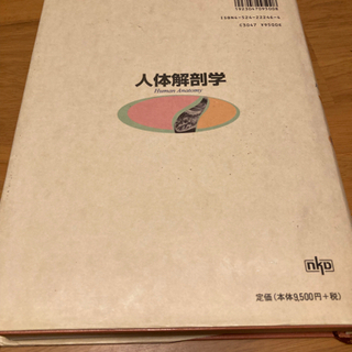 人体解剖学の画像
