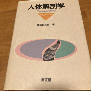 人体解剖学