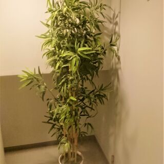 IKEA　フェイクプラント　植木鉢つき　引取りのみ