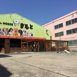 トリミングに専念できる環境です。トリマーさん大募集♪