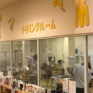 トリミングに専念できる環境です。トリマーさん大募集♪の画像