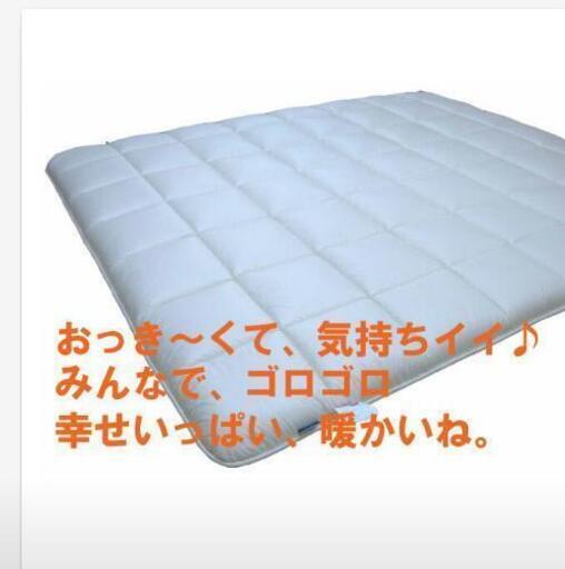 決まりました‼️
