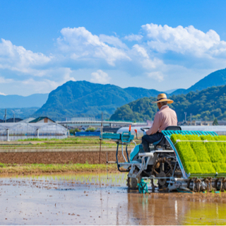 [お米30Kg] 栃木県産コシヒカリ　令和2年度収穫