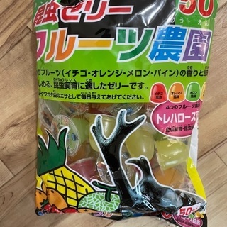 カブトゼリー 50個