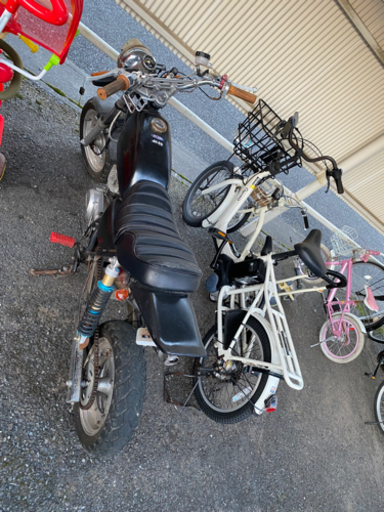 エイプ50 早い者勝ち