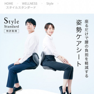 Style ボディメイクシート　スタンダードの画像