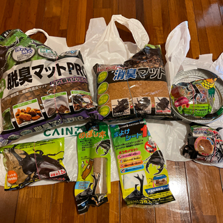 (カブトムシ　クワガタ)育成 飼育セット