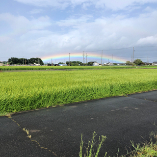 令和3年新米あきたこまち今日一日限定