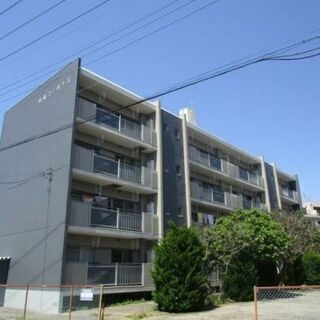 5164.三郷 徒歩4分  	3DK  B/T別　礼金ゼロ🌟最安...