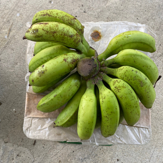島バナナ　1kg500円の画像