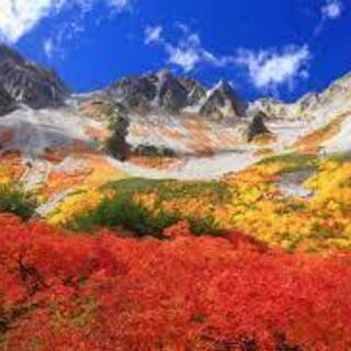１０月4日～8日に涸沢ヒュッテでテント泊できる方いませんか？