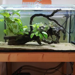 90cm水槽セット