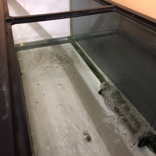 1200/450/450 ガラス水槽