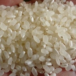 令和６年　新米　夢つくし　玄米　30ｋｇ 