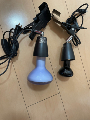 バスキングライト
