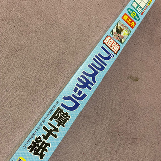 【決まりました】プラスチック　障子紙