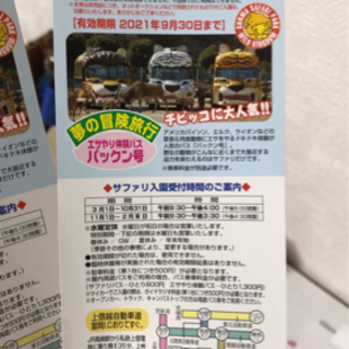 群馬サファリパークのご招待券２枚