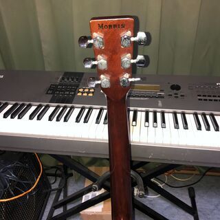 お取引終了 Morris モーリス　ギター W-18  アコギ アコースティックギターの画像