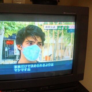 シャープ　25型の画像