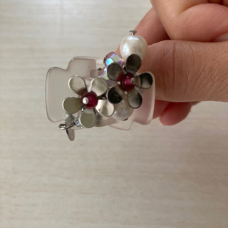 コンプレックスビズヘアクリップ２個