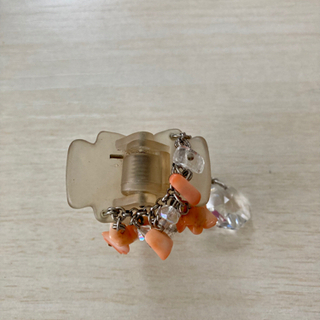 コンプレックスビズヘアクリップ２個の画像