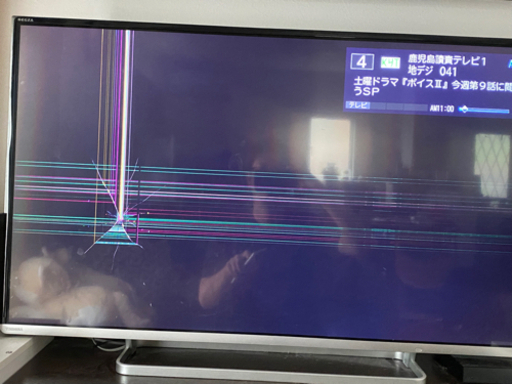 REGZA 42型