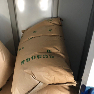 令和二年産 きぬむすめ 玄米30kg