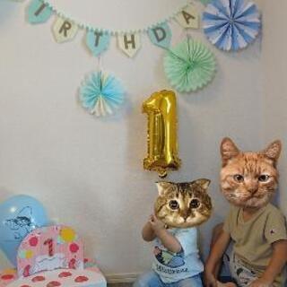 チャレンジしまじろう1歳 お祝い段ボール