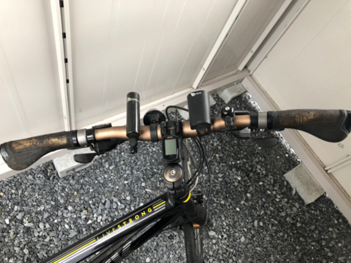 TREK クロスバイク フレーム livestrong 