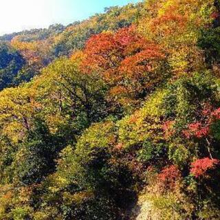 平日休みライダー募集🍀🏍 − 熊本県