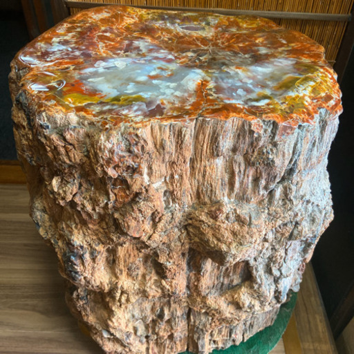 モッカ石　木の化石